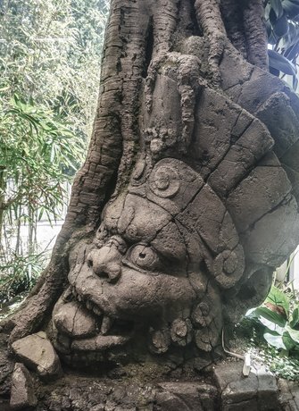 Detail Kopf Südostasien Königskobra